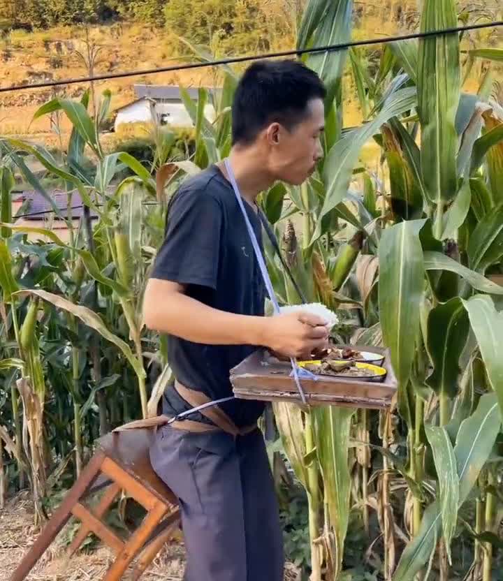 男子在地看玉米，谁知他把饭菜都带地里吃。
男子为了看好自家玉米不被偷，他把饭菜