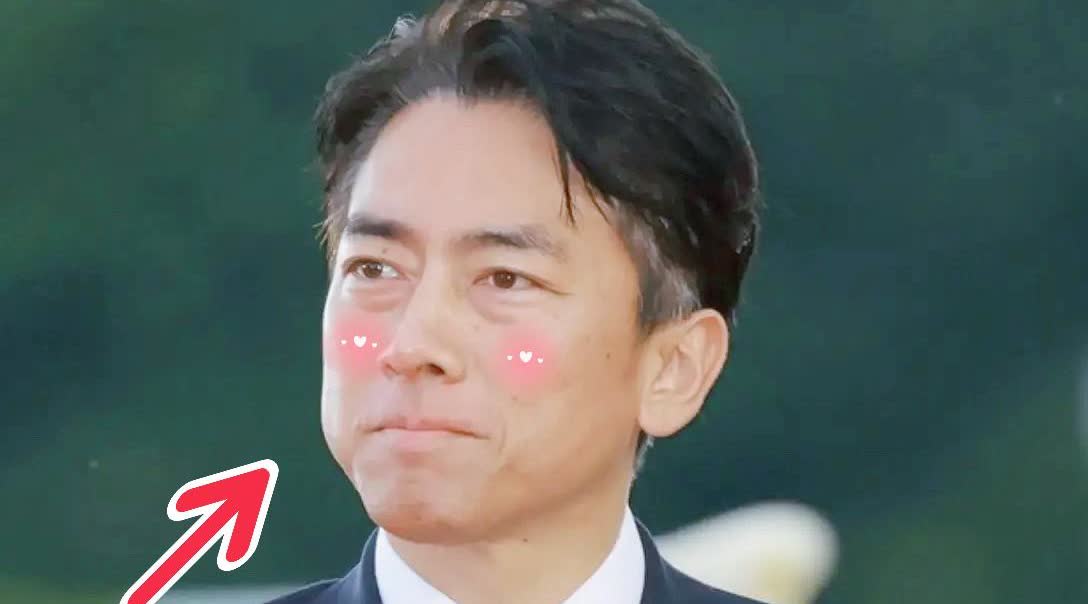日本最新民意
“如小泉进次郎成为首相，
日本立刻完蛋”
日本最新JNN民意