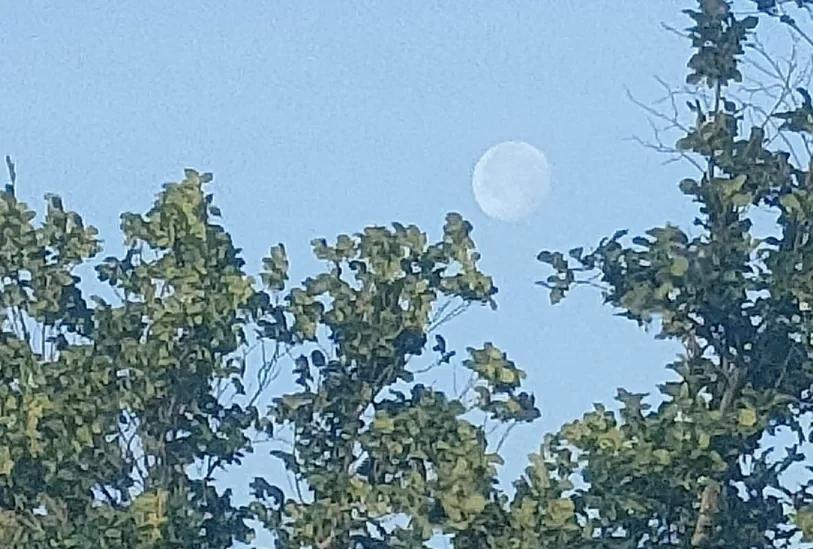 日月同天，乌鲁木齐吉相惊现！
时间是2025年6月14日，早晨7:10左右，我在