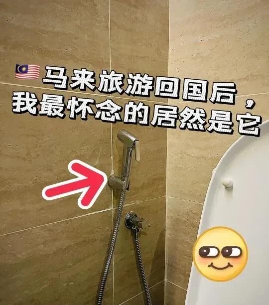 在马来西亚或新加坡旅游大家上厕所应该都会看到这个东西。
因为不知道这玩意儿到底怎