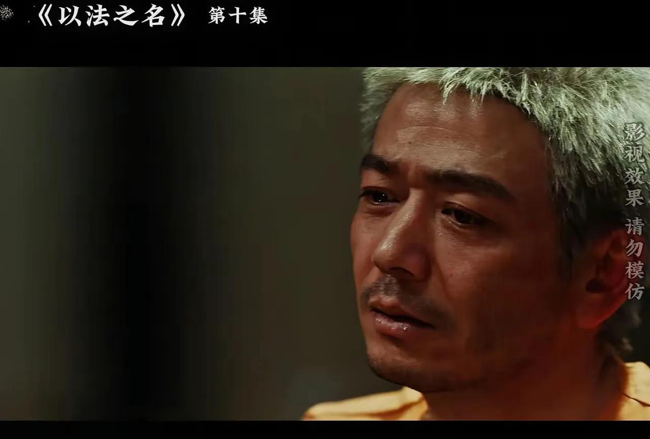 大戏《以法之名》看了几集
迷糊呀看的
刚刚开始感觉都是坏人
再看呢？好像又不是