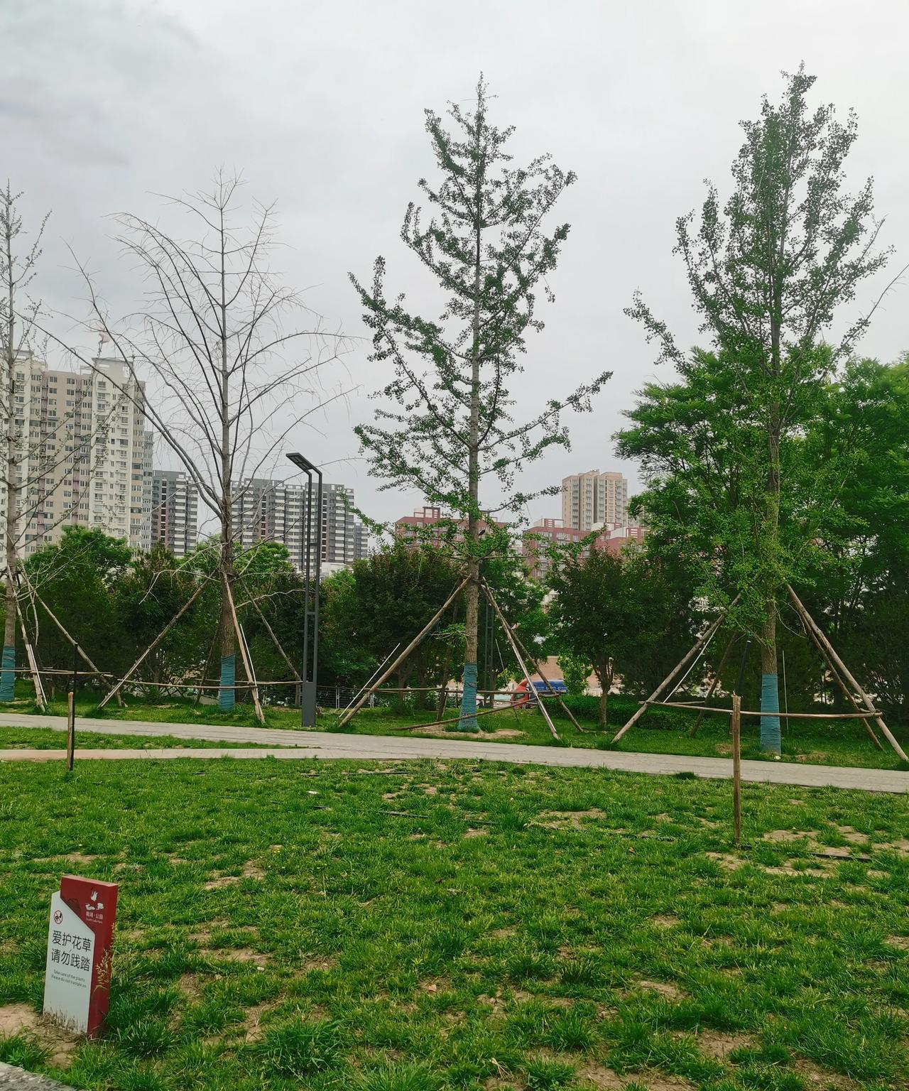 母亲在时，十几年前夏天有一天中午。父亲和他的老哥们去外边吃饭了，孩子在学校吃饭，