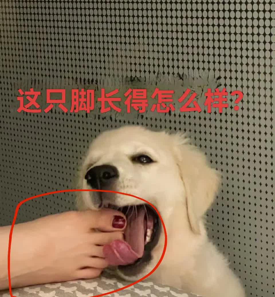 这只脚长得怎么样？
古人云，人小脚大，父亲容易提前去西方取经。你还想知道更多吗
