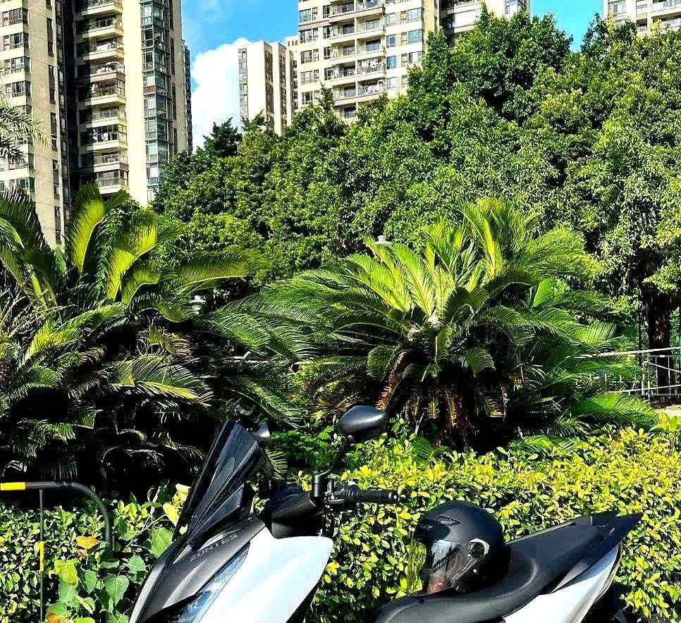 加95号油的车，每天30公里通勤要花24块油钱，实在扛不住！

试过骑电动自