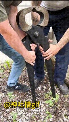 大材小用：一个超大的老虎钳子，需要两个人抬才能抬得动，很轻松就把木板上的钉子给撬