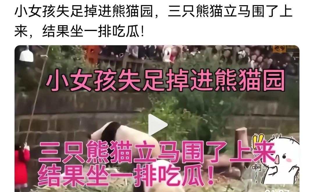 小女孩掉进熊猫园引发的一系列看法
看到一个小女孩失足掉进熊猫园的事，三只熊猫立马