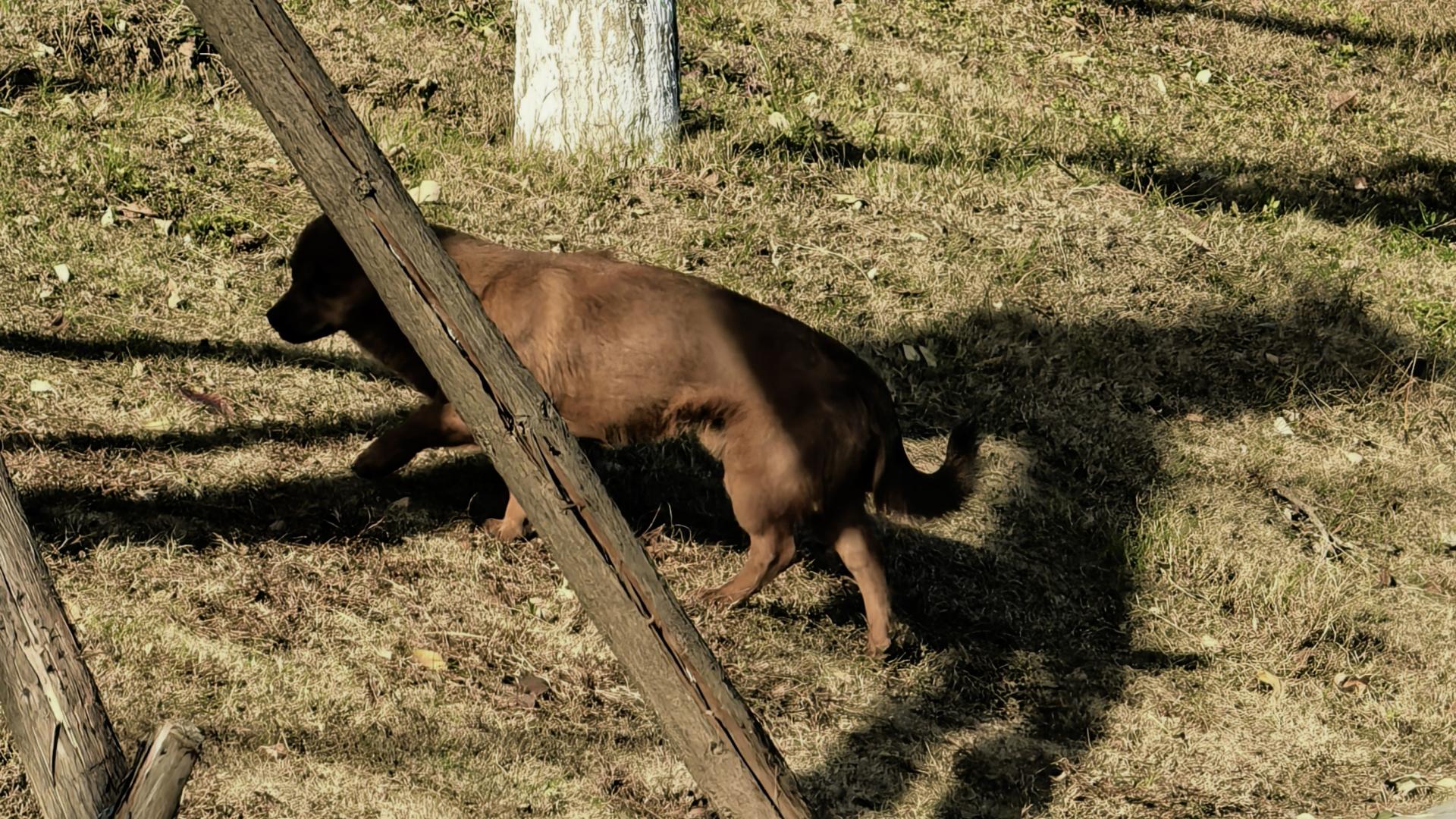 在农村，多少父母正在为儿子贷款结婚。