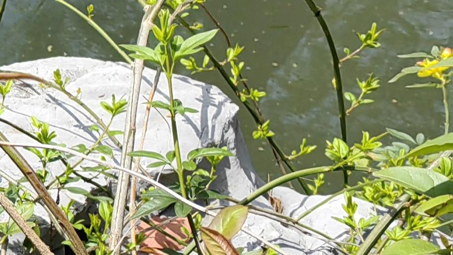 职场不易，分清场面与义气