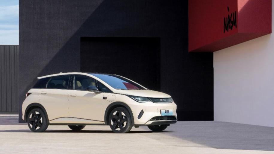 现象级爆款！比亚迪海豚：海洋网第三款百万车型，10万级纯电天花板