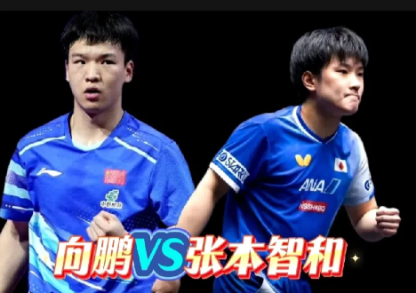 硬仗也是焦点之战！
向鹏VS张本智和
本以为这次横滨冠军赛林诗栋能向张本智和复仇