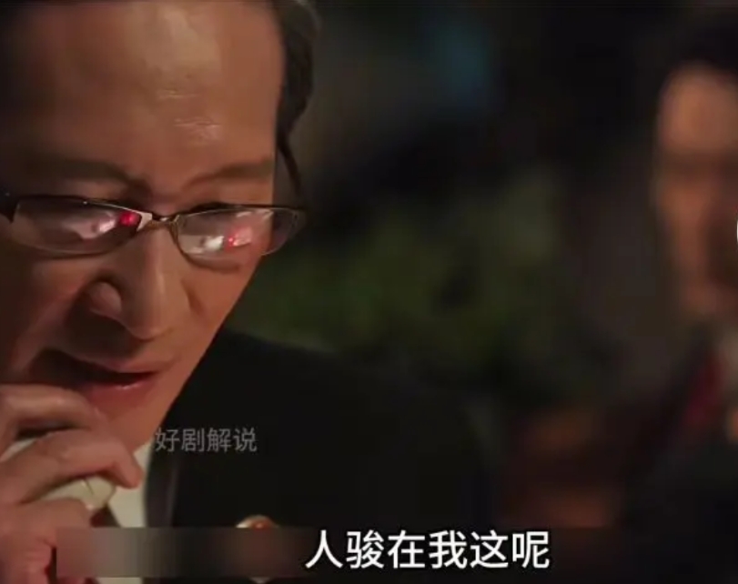 《以法之名》最大的保护伞可能就是省里的检察长张放！

郑雅萍和洪亮向海东省检察长
