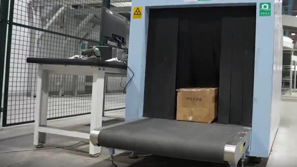 海关律师、走私辩护律师邵丹：查获走私古生物化石