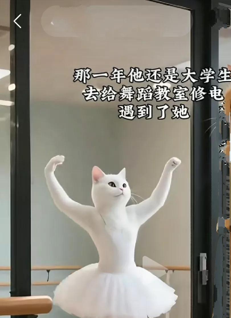 从旧舞鞋到法拉利，我身边的娱乐圈女孩，她们是穿越阶层最快的人！
有人让我说于朦胧