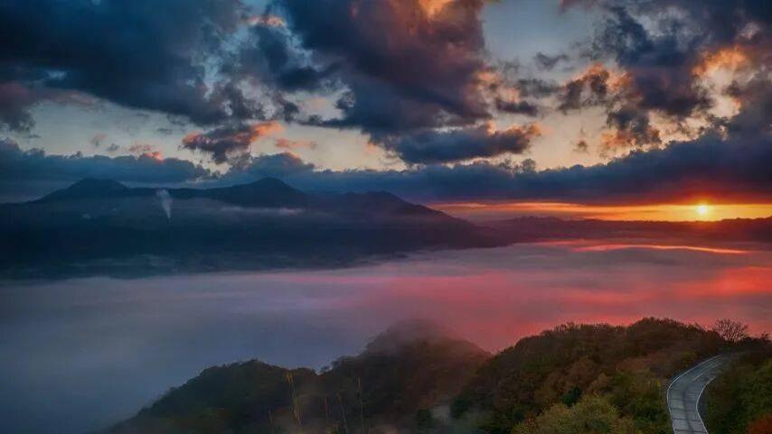 彩电零售量跌破3000万台的恶果