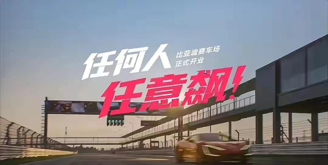 真还别说，把中国人用车需求、习惯和心理研究透了的非比亚迪莫属！
要颜值——买海豚