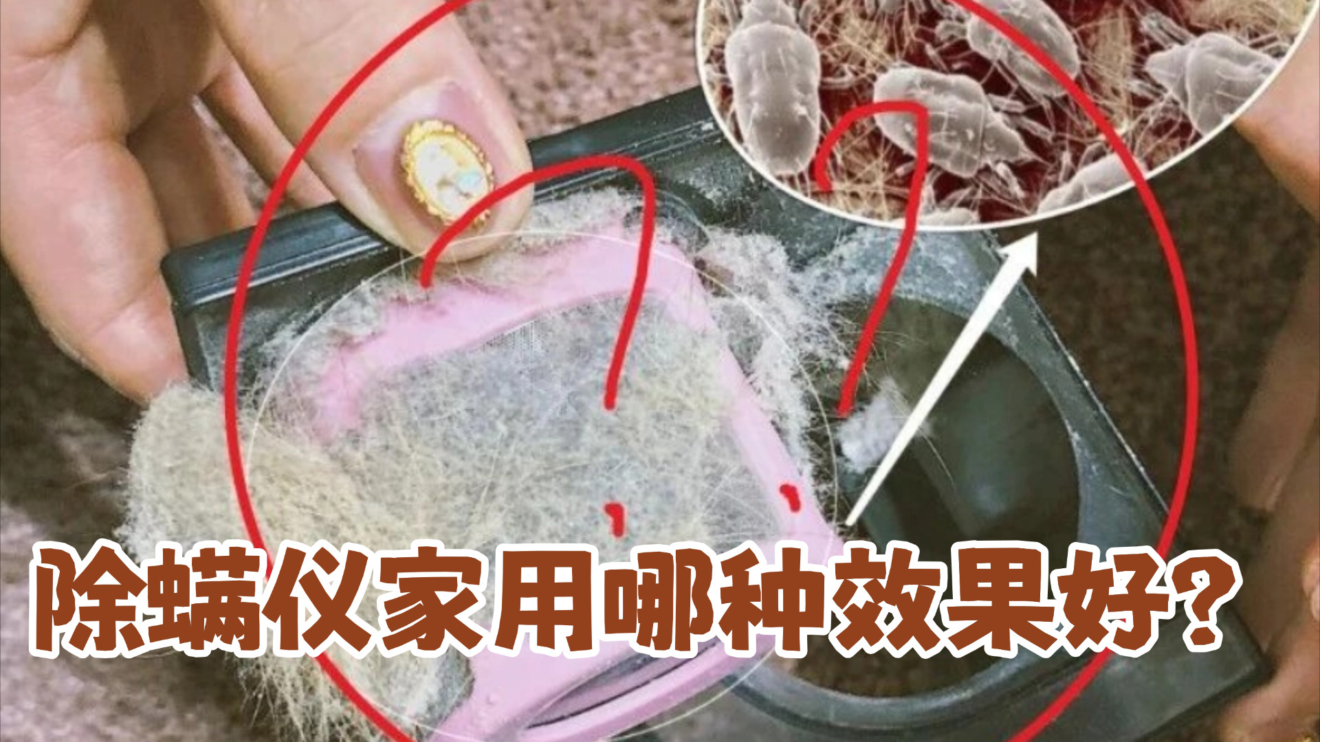 2026年度口碑最好除螨仪排行榜？除螨仪一般建议买不买？2026精准挑高10大性价比款家用除螨仪！全