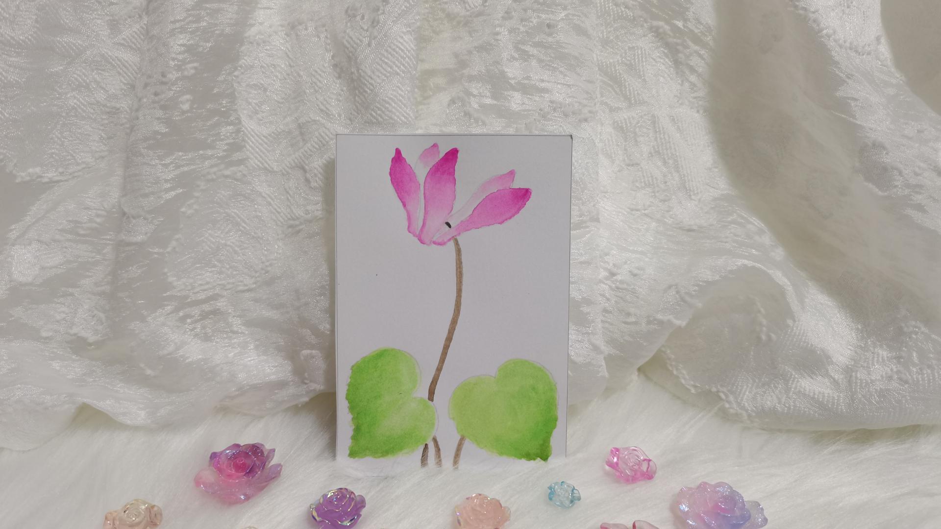 13 仙客来（绘画 水彩 果花甘06）