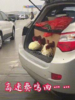你出发了吗？国庆前一天就开始堵了吧？
今天是9月30日，听说很多人今天一大早就上