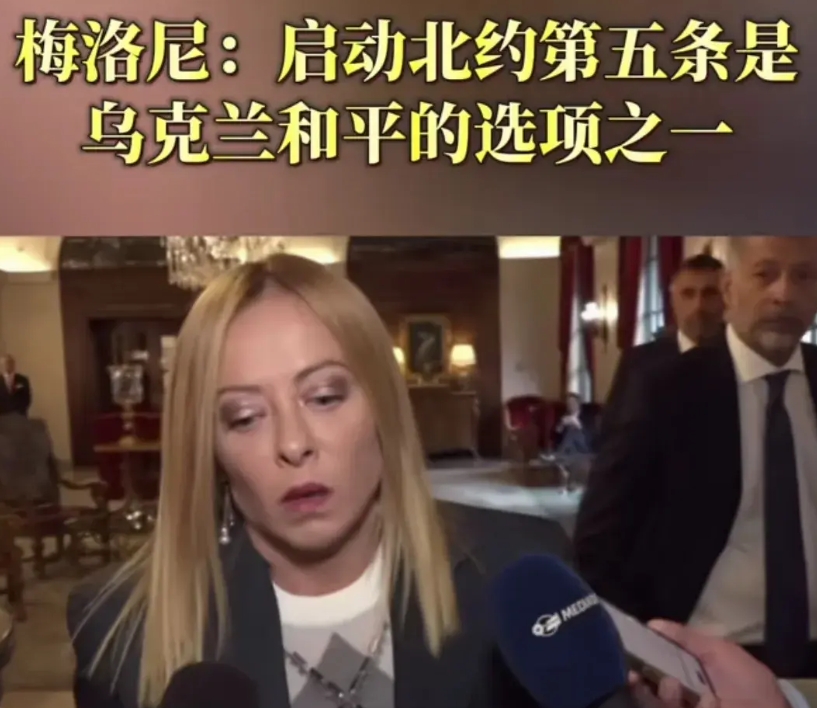 不知道这样一个女人，有什么资格对重大的国际局势指手画脚，做决断。不要忘记意大利是
