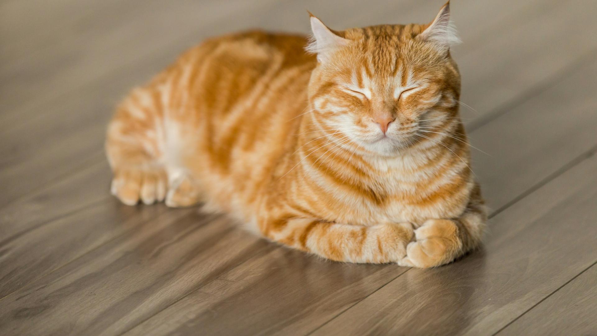 别再追求自己不可替代了，那才是职场危机的根源