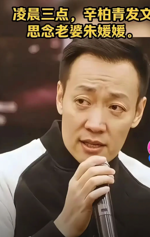 感觉辛柏青在演艺圈挺不容易的，
因为性格低调从不张扬的他，
混娱乐圈更是步步维艰