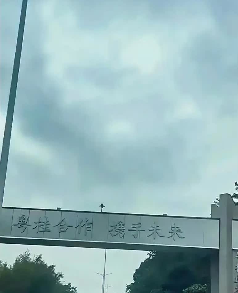 “广西一家亲”有着不同的呈现形式。广西一家亲食品有限公司，于2024年8月26日