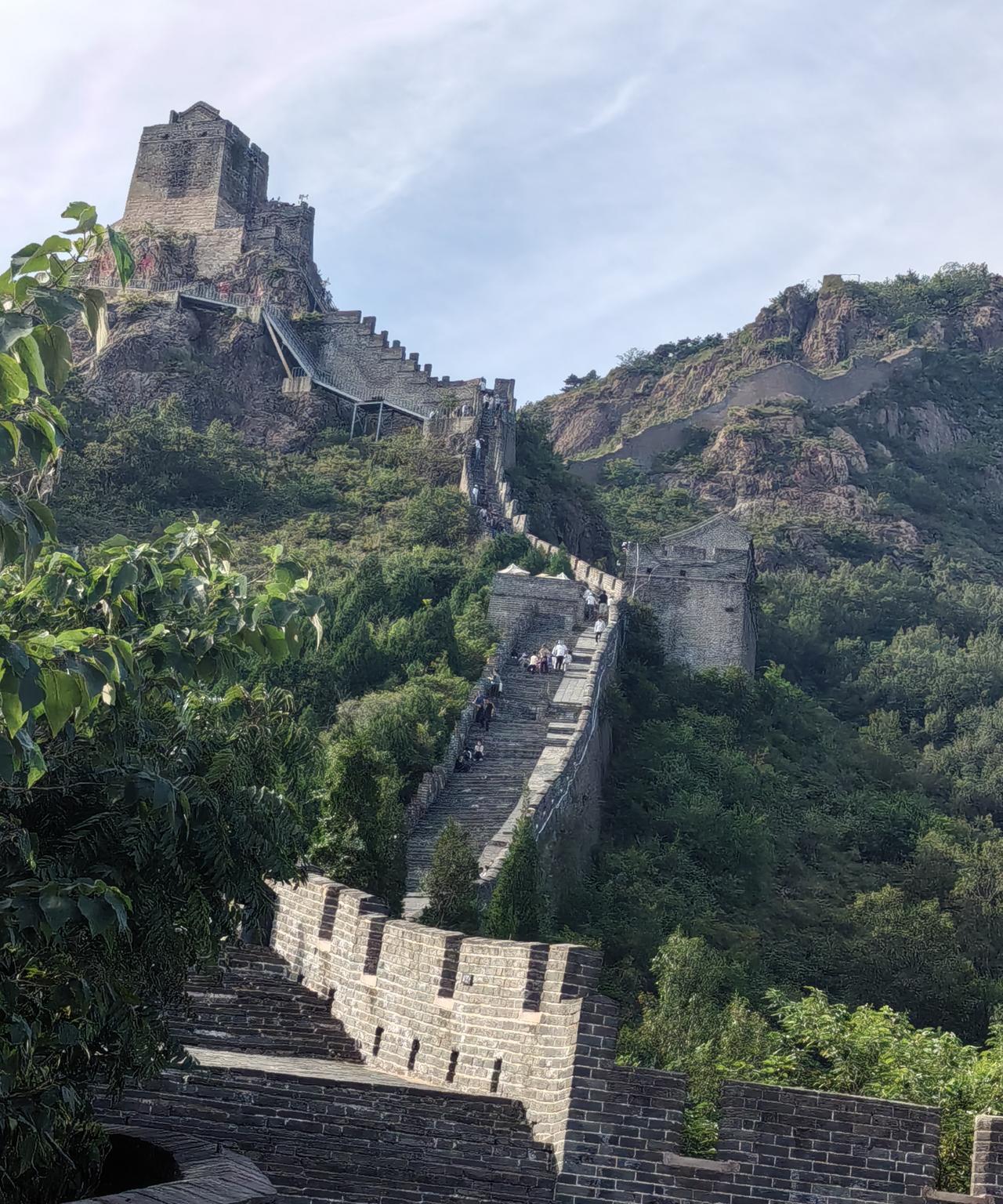 再谈沈巍现象
沈巍现在好似有点小火，不过好似是，不过是文化中的丐帮小头头的样子。