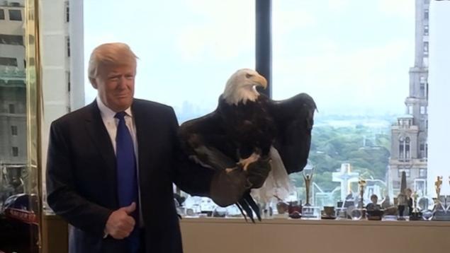 突发！特朗普宣布重返阿富汗，外媒惊呼：中国绝不会坐视不管