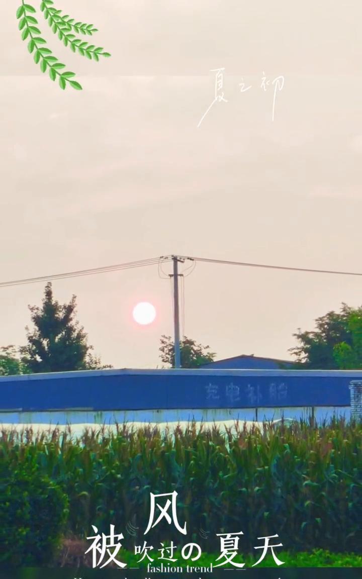 风被火过夏天。
夏之师。
被火过夏天。