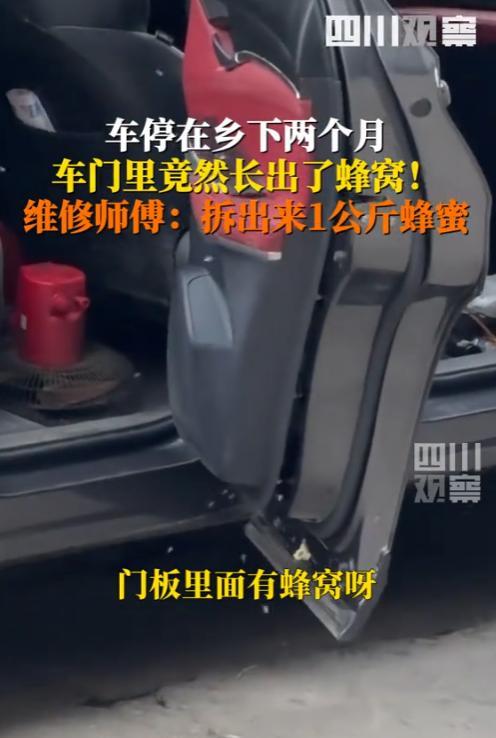 “简直赚翻了！”5月25日，广东深圳，一男子的车停在乡下2个月，直接收获1公斤纯