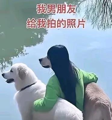 看了几遍才看明白，这个拍照技术，绝对超一流。
说他技术好吧，他能把女朋友拍成狗；