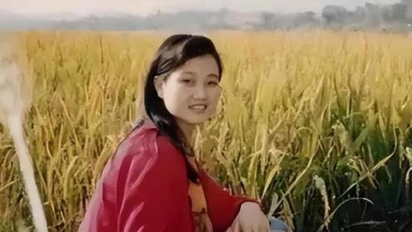 她曾是华语乐坛上最闪耀的一颗星。  凭借独特的嗓音、精湛的歌技，宋祖英成为了人尽皆知的国家一级演员