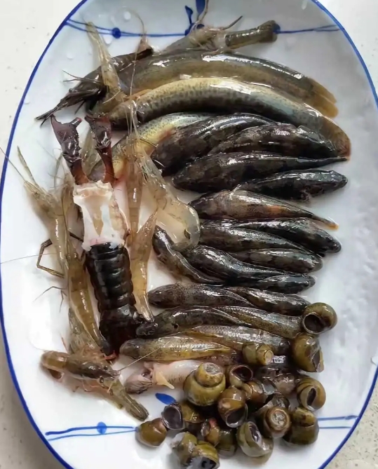 这一盘子800元，贵吗?？？