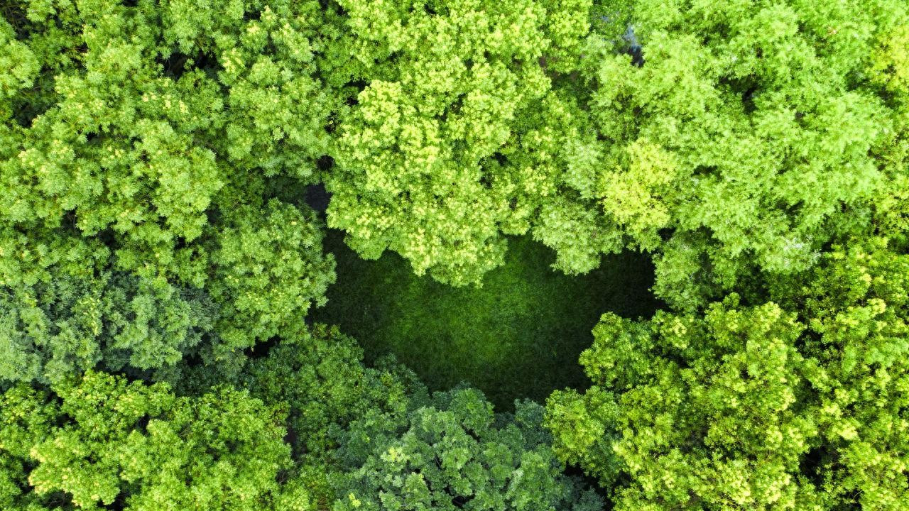 FSC认证高透玻璃纸袋半透明格拉辛纸袋环保水性油墨印刷蜡光纸袋