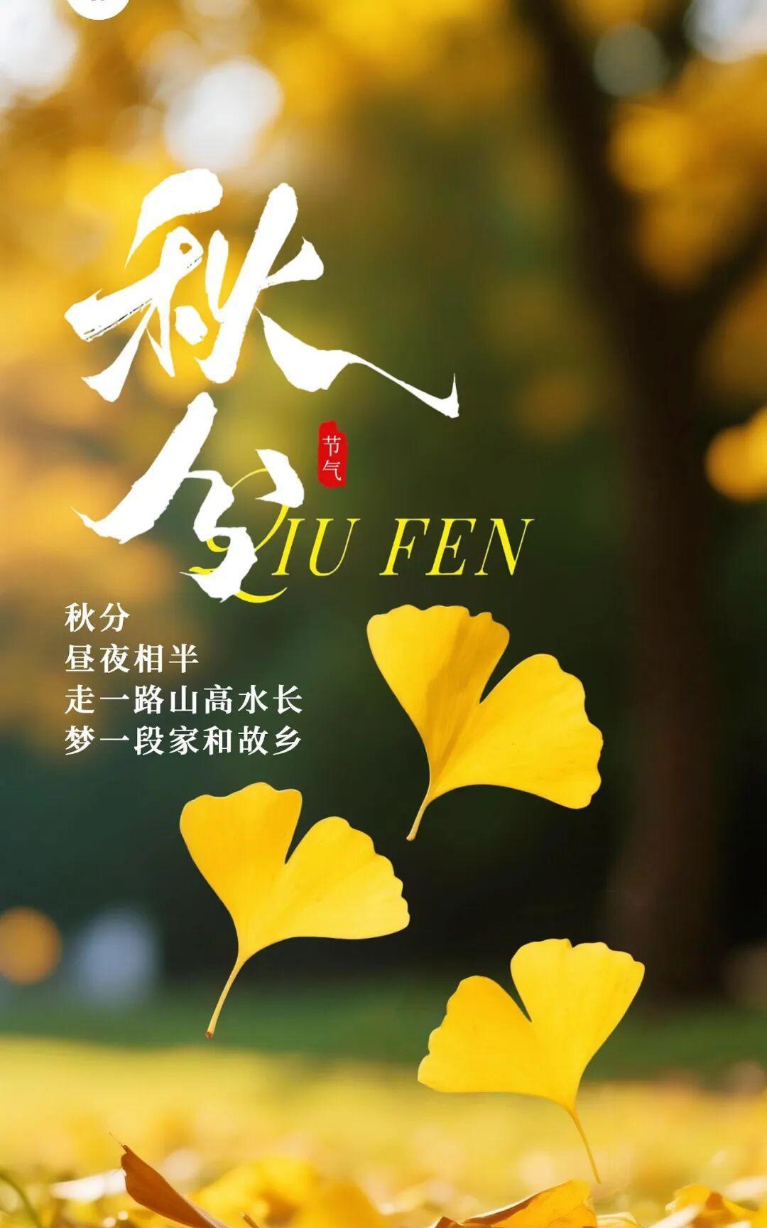 《醉太平·秋分寄意》
风清露凉，桂香漫窗。田畴金浪翻扬，载丰收满腔。
昼宵各长，