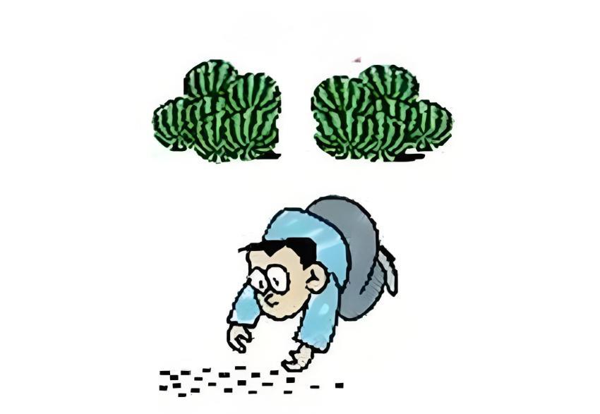 人有时就是爱做些拣芝麻丢西瓜的事。
前天还在为用上了支付宝碰一碰红包开心，觉得薅