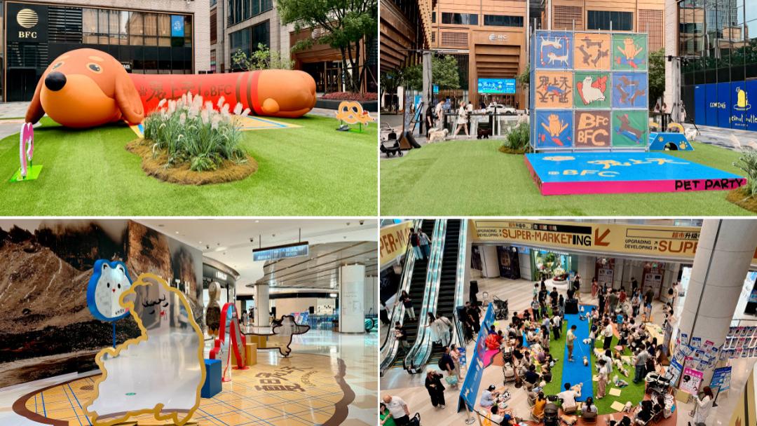 超七成新商场解锁宠物友好，为何口碑集体塌方？