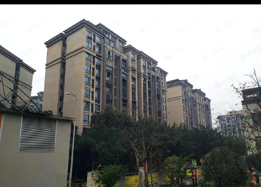 刚看到通报以为就是普通吵架事件，结果仔细一看出了人命！当地居民反应因为这条路经常