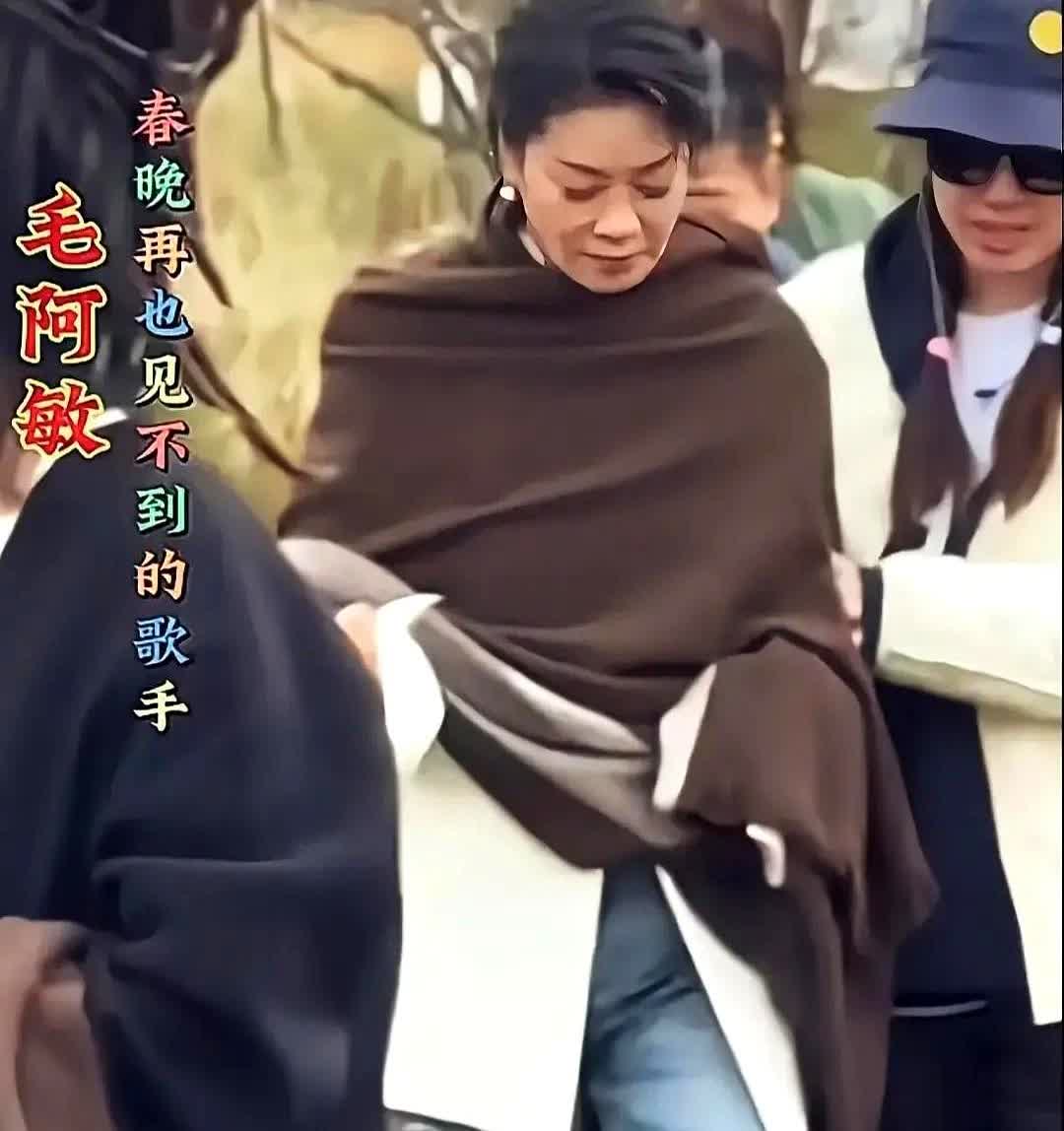 毛啊敏老这样了，嘴变大，眼皮耷拉着，眼睛无精神，脸由小鹅蛋脸也变成了长脸了。

