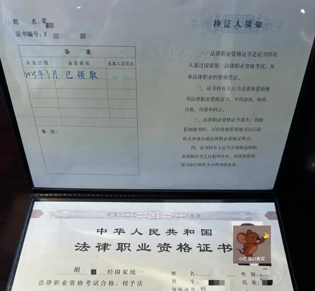 问一个法律方面问题：
         如果一个人被限制高消费，他或她将不能购