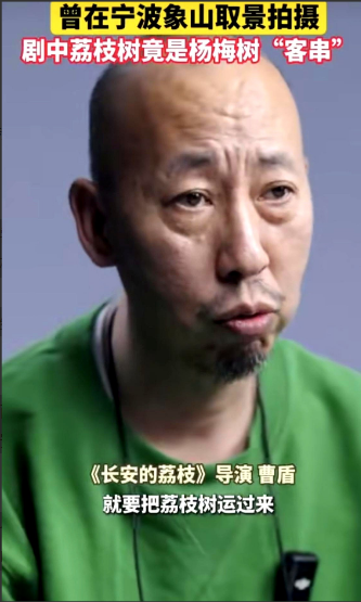 《长安的荔枝》又出问题了！

导演曹盾亲自承认，如果要拍荔枝树，就需要将荔枝树运