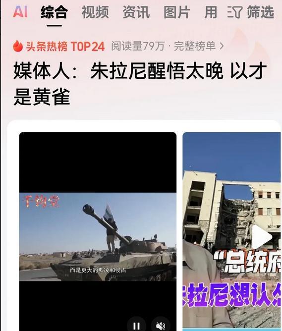 希望叙利亚人民包括新上台的朱拉尼都好好看一看以色列士兵的臂章！
以色列士兵佩戴的