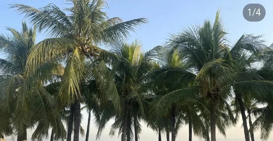 在深圳，一个软件工程师张运来，已在车里睡了三年，生活方式火出圈了！直接把特斯拉M