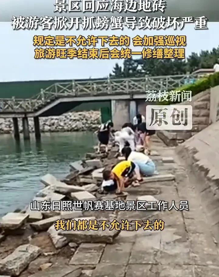 真不嫌丢人！近日，山东日照一处景区内，一些游客为了抓螃蟹，竟直接把海边铺设的地砖