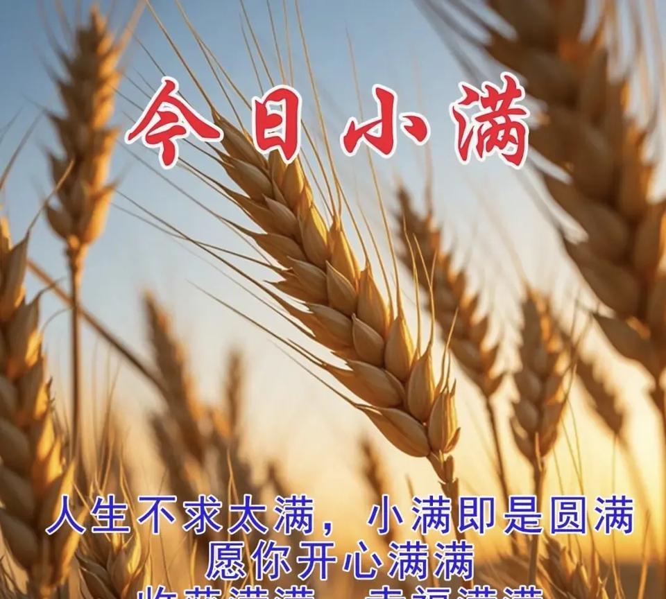 早安万顺：2025年05月21日 ，又是一年小满到，祝你：快乐满满，笑容满满，好