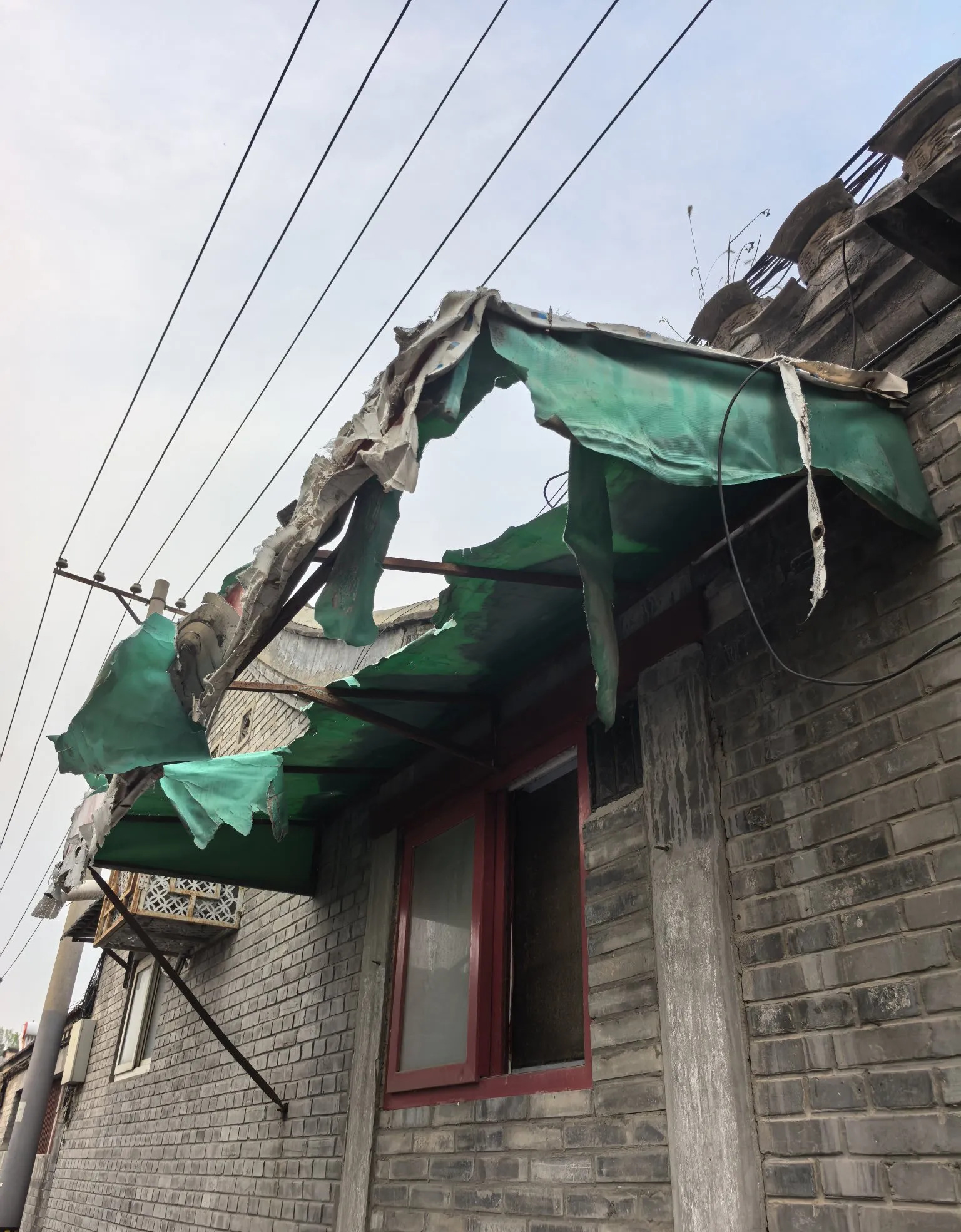 巴勒斯坦没前途，融入社会是正路











巴勒斯坦这事儿，真让人上火