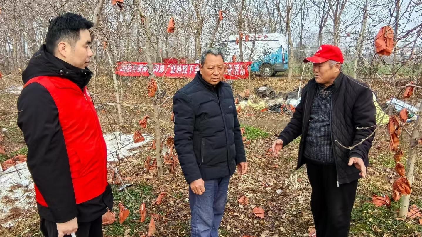 科技下乡暖寒冬 果树管护助增收——汝南县科协科普志愿服务走进田间地头