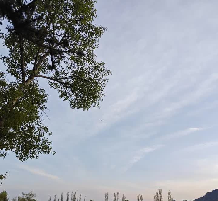 我的CRV跑了1万公里，今天二保。在4S店换的全合成机油，花了899元。查了下资