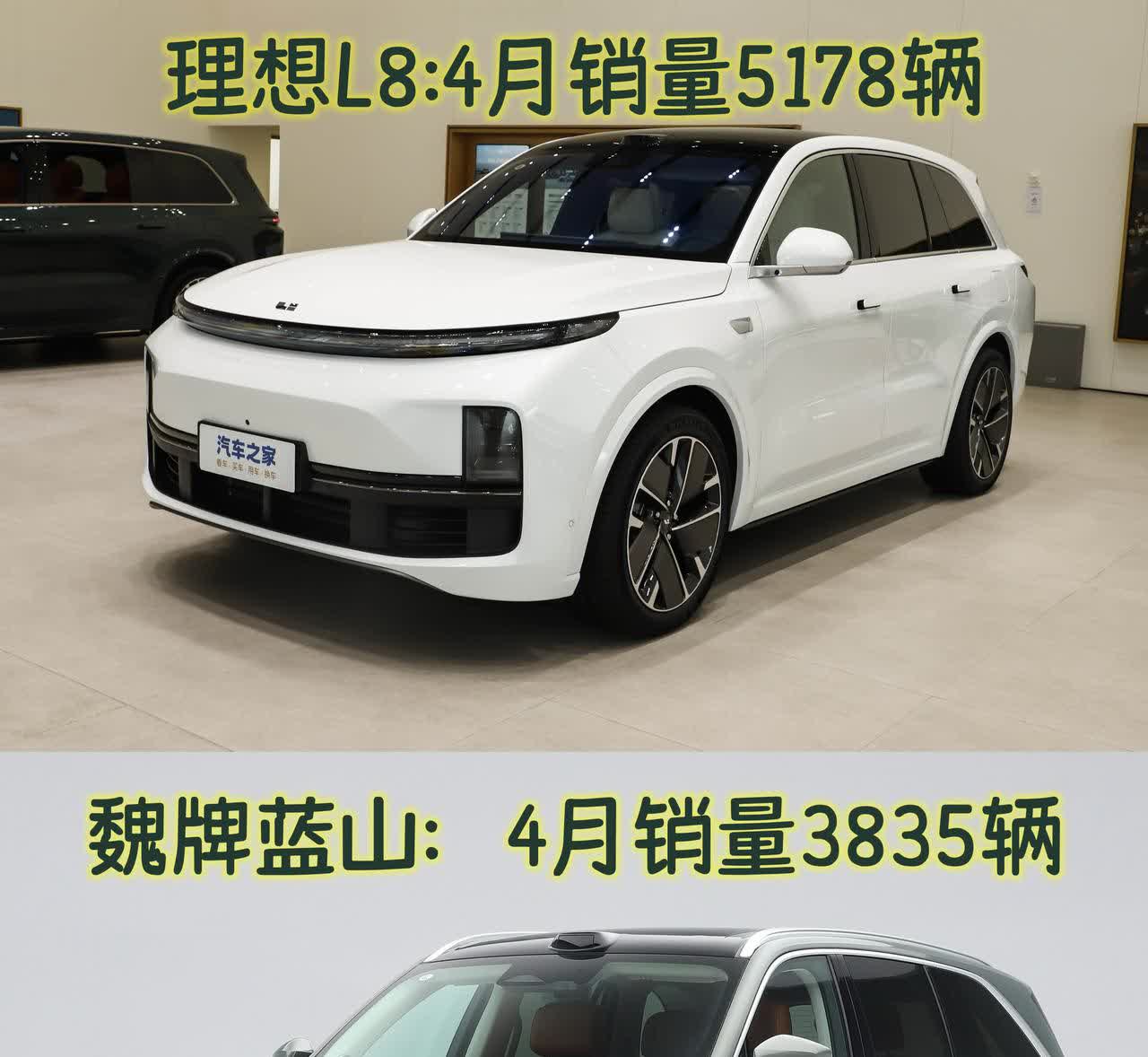 百思不得其解！
魏牌蓝山🆚理想L8；
尺寸更大；
空间更优；
配置不低