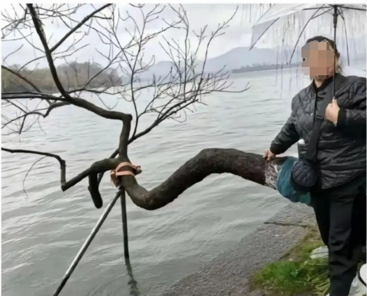 因为拍的不好看媳妇给我闹离婚不至于吧